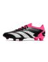 2023 Adidas Predator Accuracy.1 Low FG Black White Team Shock Pink
